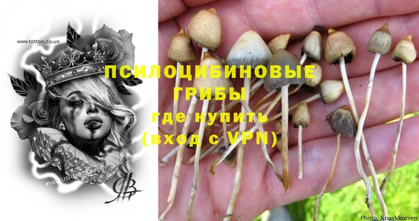хмурый Протвино