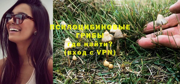 хмурый Протвино